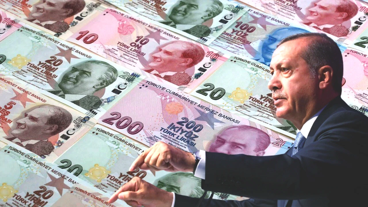 Erdoğan Türk Lirası-1