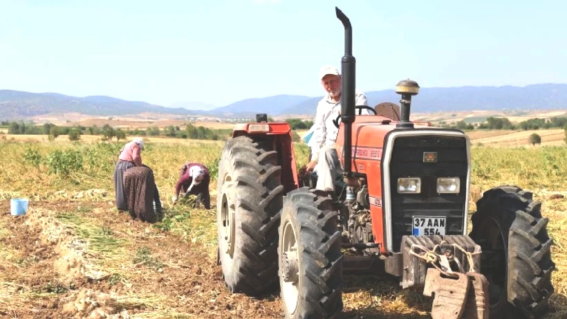 Sıfır Masrafla Günde 1.200 TL Kazanıyorlar: Tatile Gider Gibi İşe Gidiyorlar, 37 Derece Sıcakta Çalışıyorlar - Resim: 5