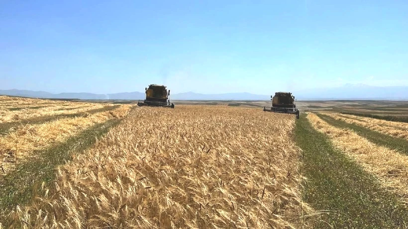 Herkes Yapma Dedi Ama O Kimseyi Dinlemedi: Tarladan Altın Fışkırdı, Gören İnanamadı - Resim: 4
