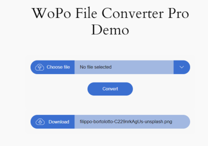 WoPo File Converter Pro Form style 2